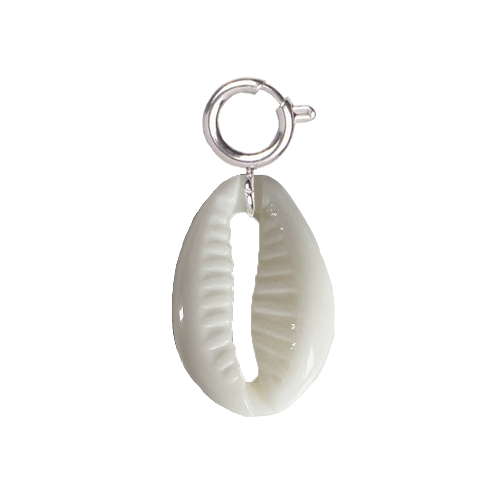 Coquillage blanc