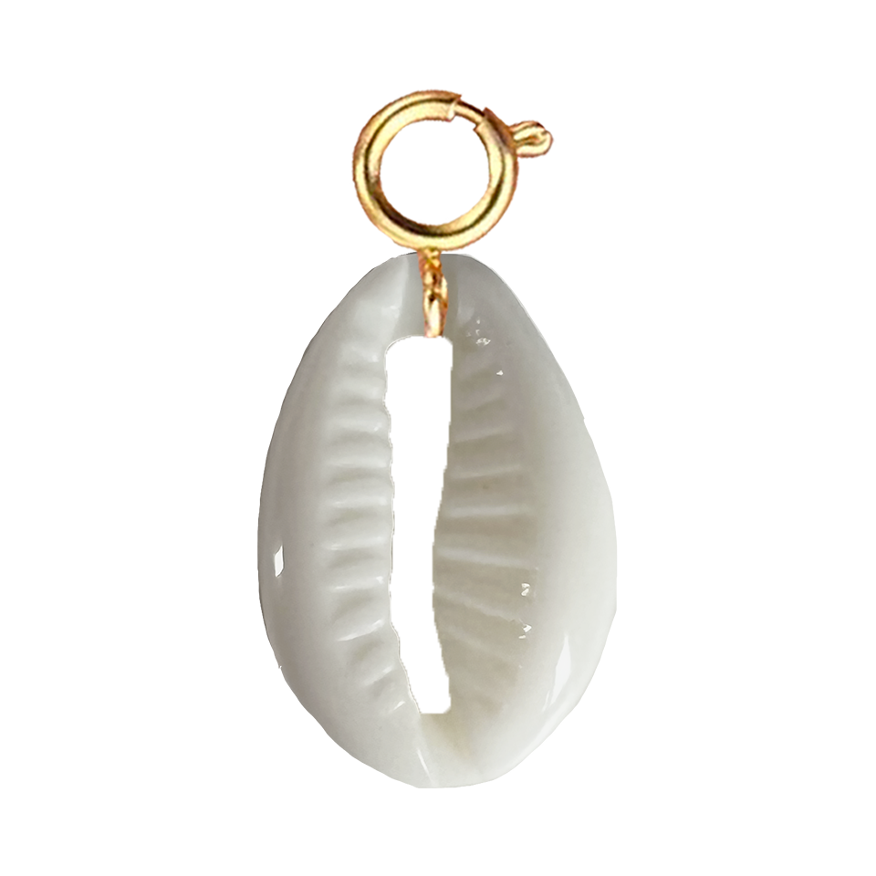 Coquillage blanc