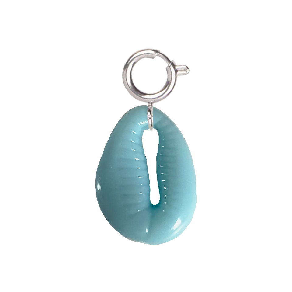 Coquillage bleu