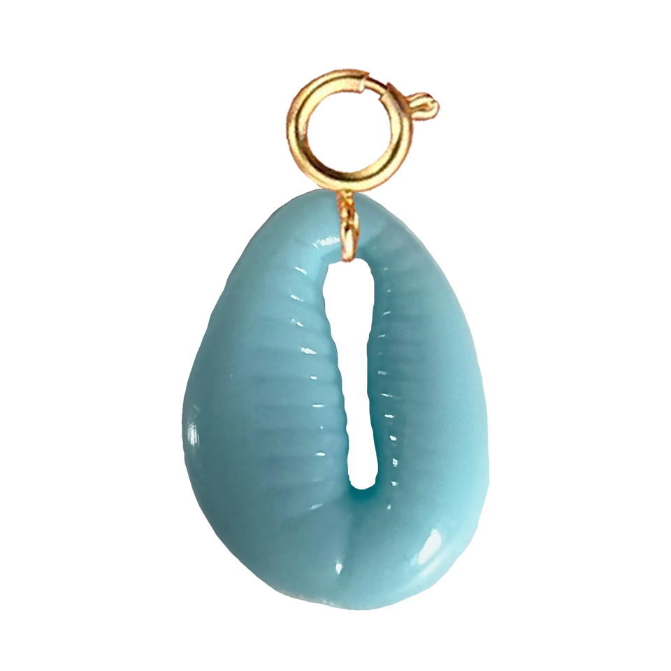 Coquillage bleu