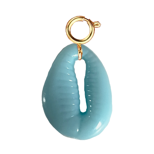 Coquillage bleu