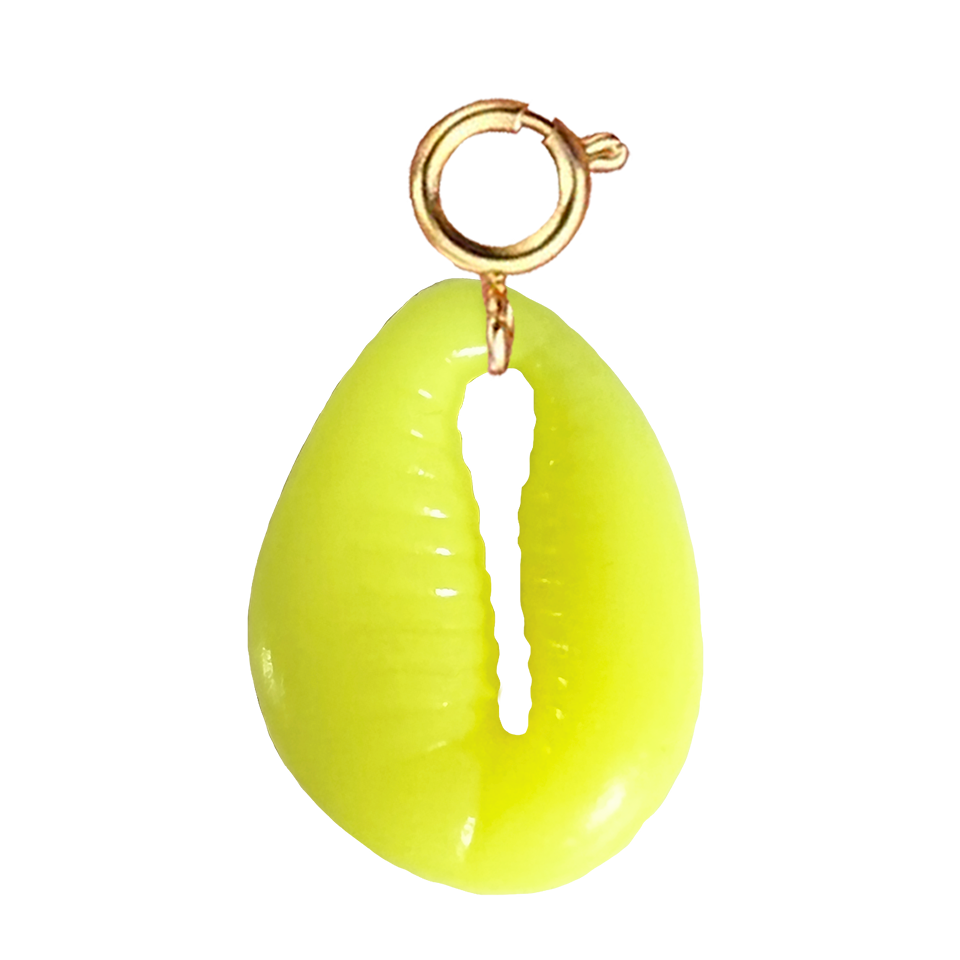 Coquillage jaune