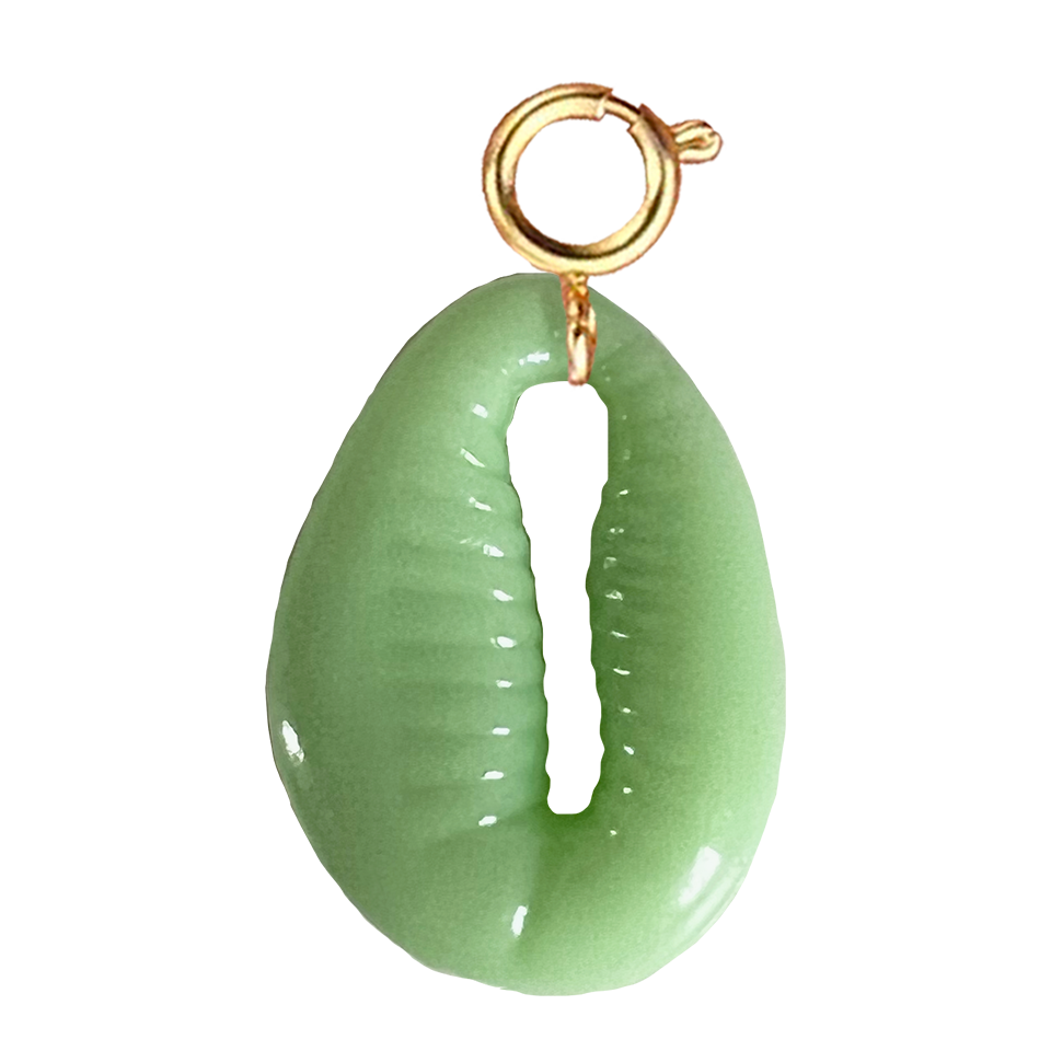 Coquillage vert