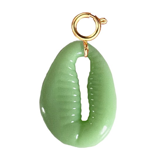 Coquillage vert