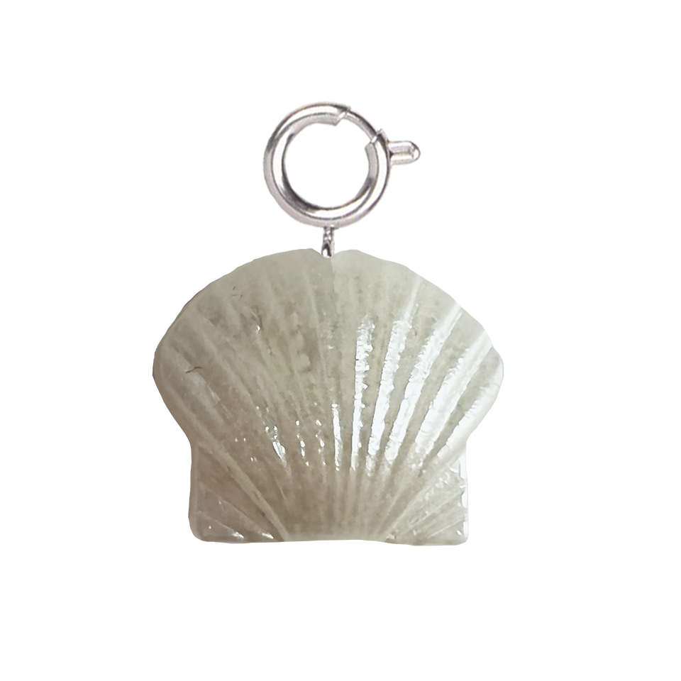 Coquille