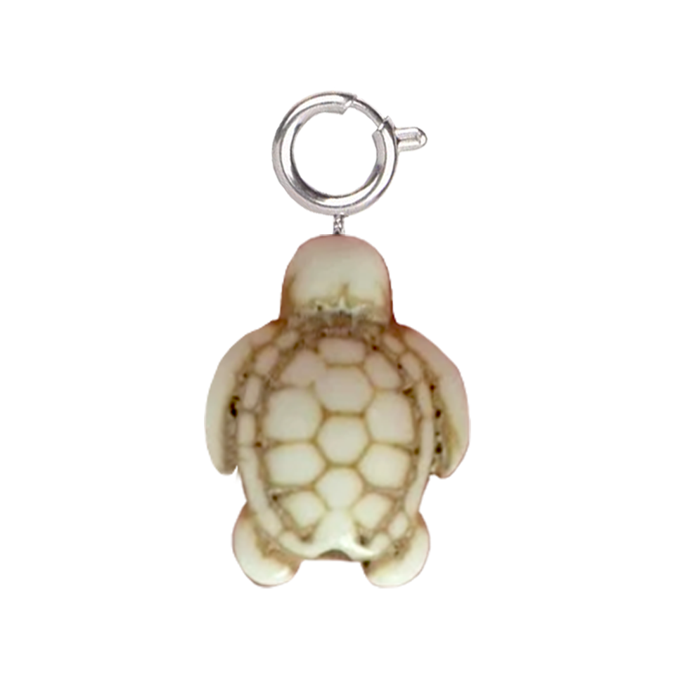 Tortue blanche