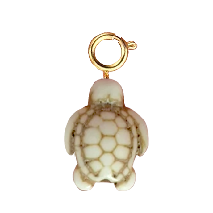 Tortue blanche
