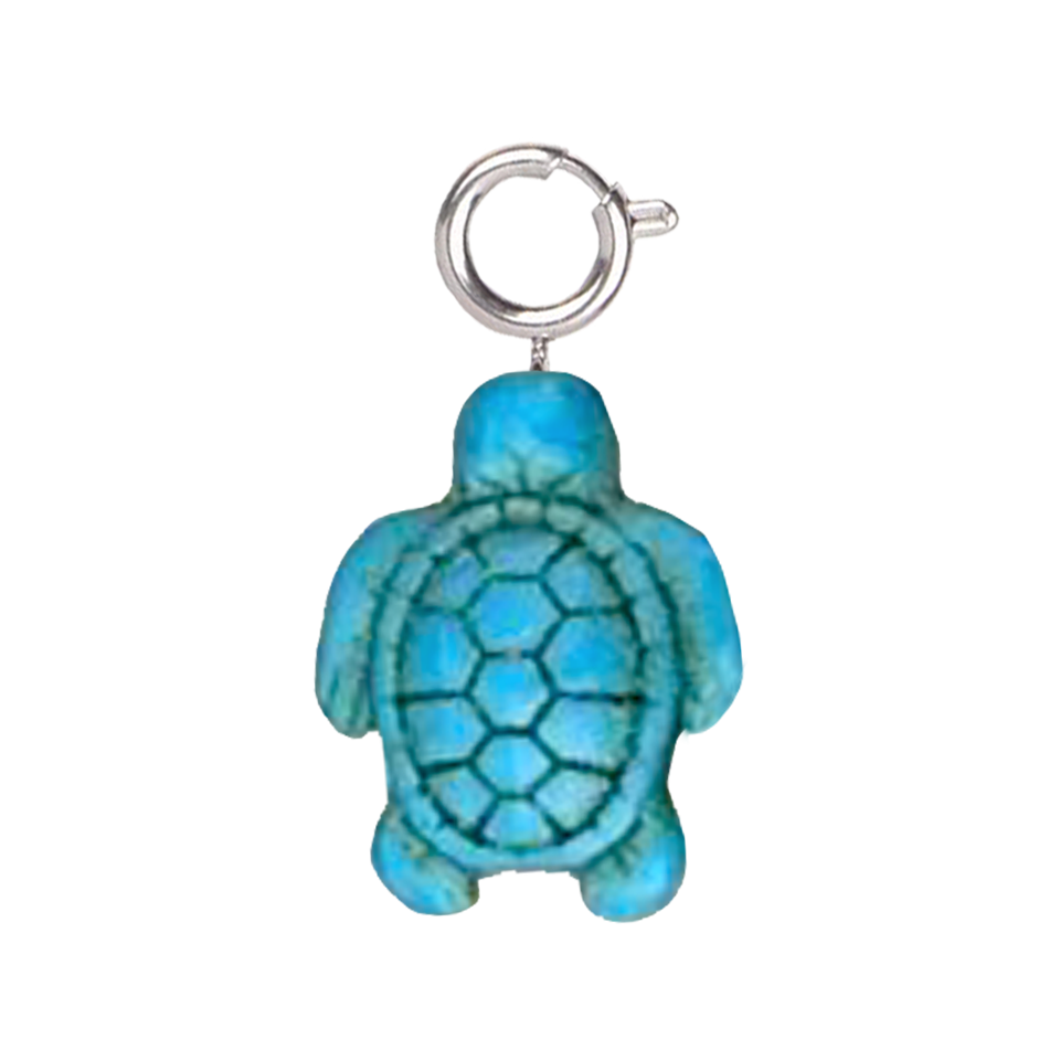 Tortue turquoise