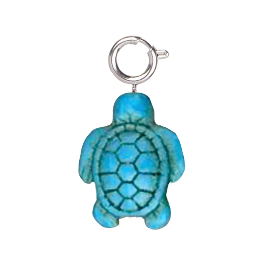 Tortue turquoise