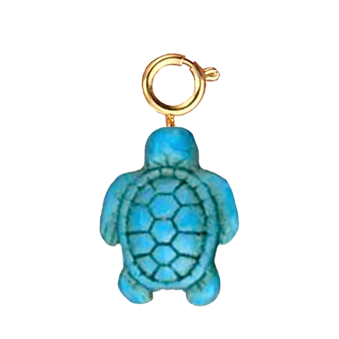 Tortue turquoise