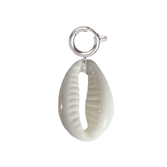 Coquillage blanc