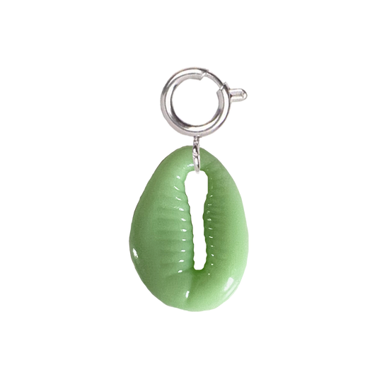 Coquillage vert