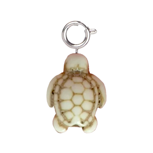 Tortue blanche