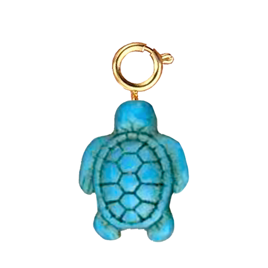 Tortue turquoise
